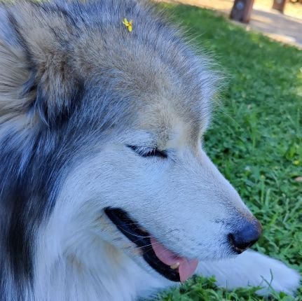 docsloft's profile picture. Docs Loft