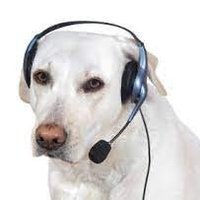 PualTheUnTruest (@pualtheuntruest) 's Twitter Profile