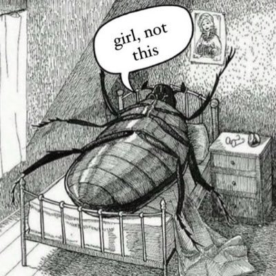 cierruhhhhhh's profile picture. 