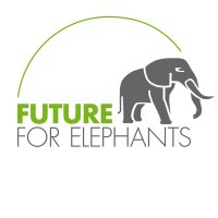 Future for Elephants(@ElephantsFuture) 's Twitter Profile Photo