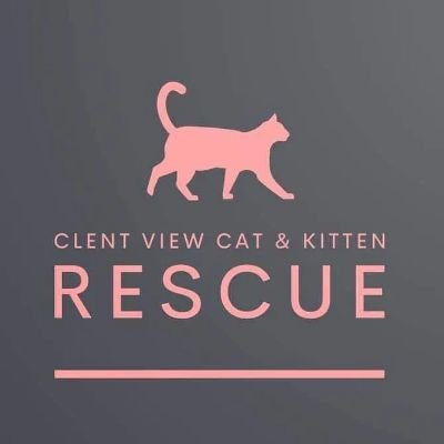 Clent View Cat And Kitten Rescue Profile