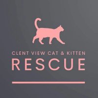 Clent View Cat And Kitten Rescue(@Clentviewrescue) 's Twitter Profile Photo