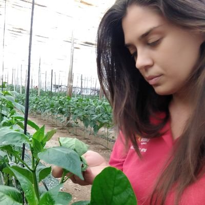 Técnico agrícola,asesoramiento técnico integral, control de calidad🍆🥒🥬🍅veggies🌍 arround💪vida#madre de Paula