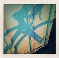 spokeandbucket's profile picture. Local bike touring company on Bainbridge Island, WA. We are an active company that loves the NW, wine, biking, and promoting sustainability and our community.