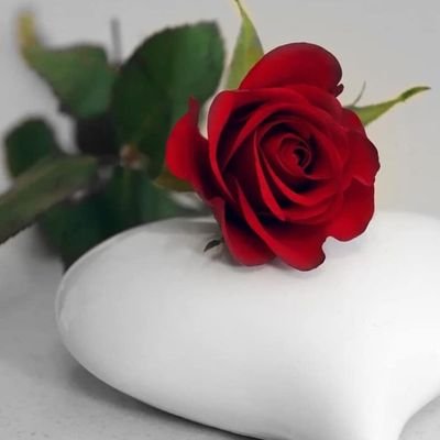 ‏الحالمه