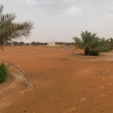 Alain6199678's profile picture. العين