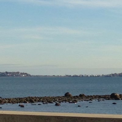 NancyP337's profile picture. 