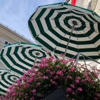 Emmanuelle Giuliani (@emgiulian) 's Twitter Profile