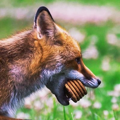 Haam3D's profile picture. داری زکات حُسن و ندانی به کی دهی -
من‌مستحقم ای شه خوبان به من بده
_______________________________________________________

دارم کسشعر میگم سخت نگیرید