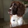 Chrystalsurrey's profile picture. 