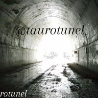 Taurotunel (@taurotunel) 's Twitter Profile
