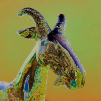 KundalaNFT // OpenSea // Creator (@kundalanft) 's Twitter Profile