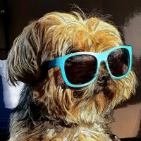 ANGRY AMERICAN (@cryptor28244491) 's Twitter Profile Photo