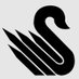 Black Swan Storage Advisors (@BlkSwanStorage) Twitter profile photo