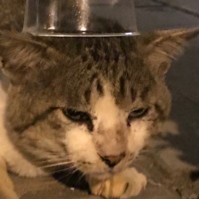 またね