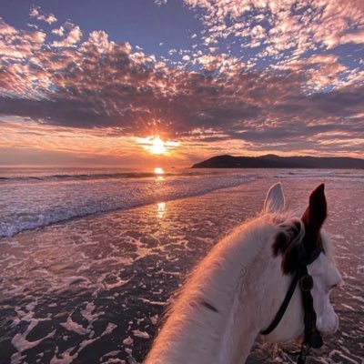 jum_71's profile picture. 