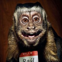 Raúl Gallego (@raulmiente) 's Twitter Profile