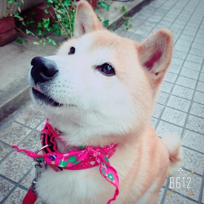 音楽♪🎧は癒し・自分磨き👉エクササイズ🩰🧘♀️・目指すはミニマリスト・HEAT横浜初日初Live🍃✨