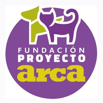 🐾Rehabilitamos perros y gatos abandonados 🐾Buscamos adopciones responsables 🐾 Tenencia responsable 🐾Para adoptar postula aquí https://t.co/12IOb1ab3T