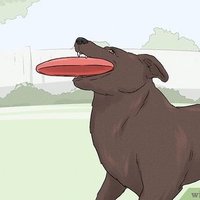 Bradford Condon (@bradfordcondon) 's Twitter Profile Photo