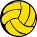 BR Volleyball (@BR_Volleyball) Twitter profile photo