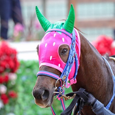 競馬歴20年以上。 指数とデータで予想します。 基本中央重賞のみ。 勝てる予想を心掛けています。 荒れるレースは見送るのもあり？ 予想 買い目を公開します。 競馬新聞代わりにどうぞ。 的中報告お待ちしてます。#競馬 #競馬予想