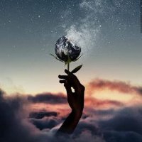 دخلاء الصيدله خطر (@ls04046529) 's Twitter Profile Photo