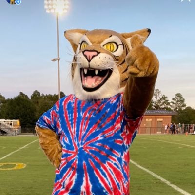 Mr. Wildcat has been retired and Wiley the Wildcat is ready to take his place at Lexington High School!  Follow Wiley to see all the great things he gets in to!