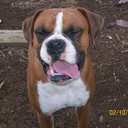 michele mercado - @michtx12 - Twitter