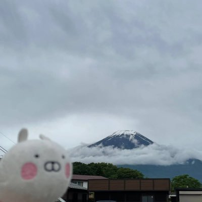 うさまる大好き❀旅と共に一緒に行動❀ うさまらーの人と仲良くなりたい❀ うさまるツイがメイン♡( ´∞` ) 成人済み30↑ うさまる関連の無言フォロー失礼します… 職業❀臨床検査技師  取得済→緊急検査士、2級血液検査技師 目標❀認定血液検査技師  臨床検査技師さんも無言フォロー失礼します