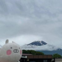 つきまる❀ (@tukimaru_pie) 's Twitter Profile