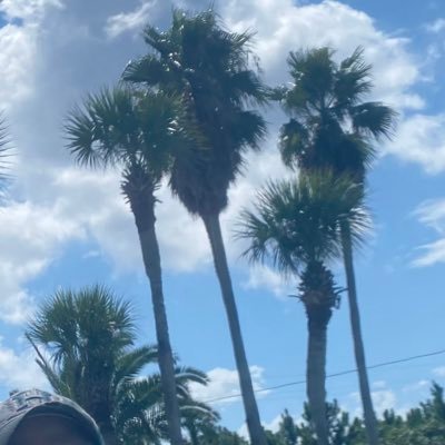 Kellynina's profile picture. Domestic goddess