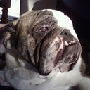 Kylie Yoder - @Kylie_M_Y - Twitter