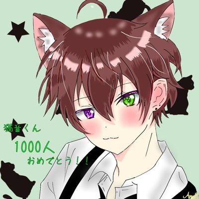 🐱猫音くん❤さんのプロフィール画像
