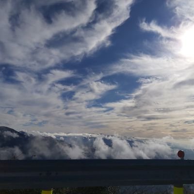 as095544112's profile picture. 