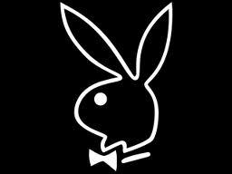 salvador393's profile picture. 