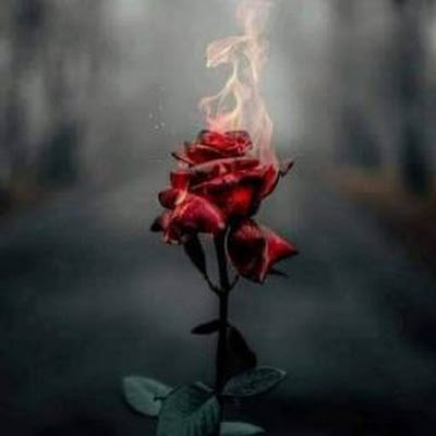 SaykoNasser's profile picture. لن يؤذيك من يكرهك ، وإنما من أحببته بصدق .!💔