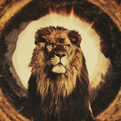 domelifetweet's profile picture. shib for life ,shibarmy,$SHIB Moonbase