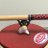 ごはんちゃんのアイコン