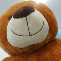 UrsoVersatil (@versatilurso) 's Twitter Profile