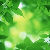 Green Funding Biz (@greenfunding) 's Twitter Profile