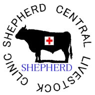 shepherd_vet914's profile picture. 🐂全国でコンサルティング実施中🐂
🏠鹿児島県阿久根市：肉用牛診療、OPU
🏠栃木県那須塩原市：OPU、繁殖検診
HP：https://t.co/uuTLMBG7pR
畜産関係の皆様どうぞよろしくお願いします。
※Twitter上での質問は受け付けておりません。