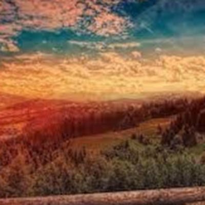 khanshahnaz0121's profile picture. 