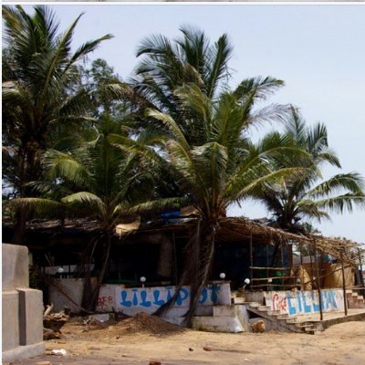 goldfishbkk's profile picture. It's just me tweeting and retweeting about stuff. Millions of likes.