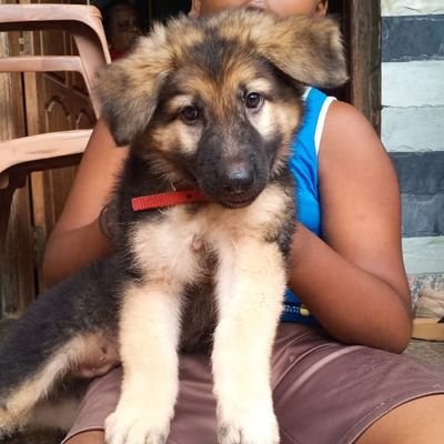 RIPBLACK2's profile picture. Nothingtosay