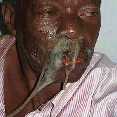 calonpengusahas's profile picture. one fine day