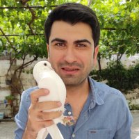 Arif Ciloglu(@drarifciloglu) 's Twitter Profile Photo