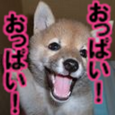 オレンジ犬な オレンジーナ Orangecolordog Twitter