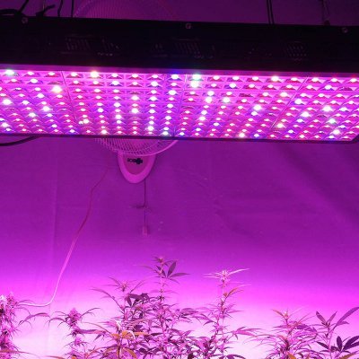 SuperLED Electronic Co.,Ltd. is the professional Manufacturer & Supplier of LED Plant Grow Lights and LED related Lighting products since 2002 .#ledgrowlight