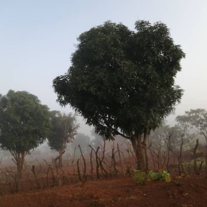 G_et_Fier's profile picture. 